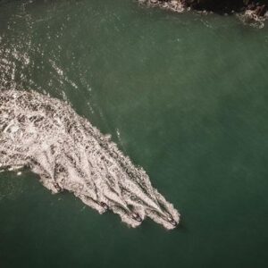 JET SKI MINI SAFARI IN CORNWALL